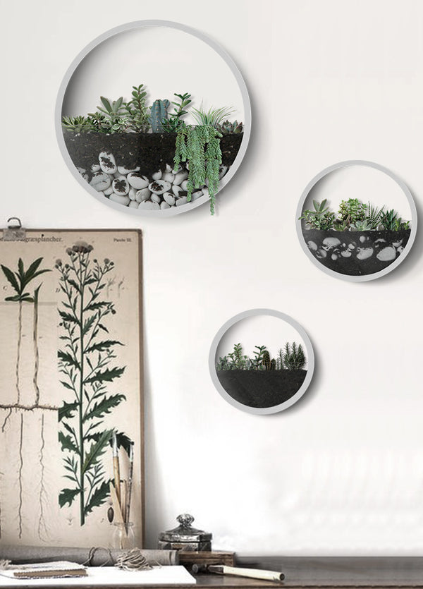 Nordic brief Round Iron Succulent Plant Wall Vase Glass Potted Flower Pot Ornaments Pendant Wall Decor Hanging Planter Flowerpot
