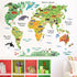products/product-image-580792876.jpg