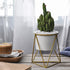 Nordic Style Geometric Iron Rack Holder Metal Stand with Ceramic Planter Desktop Garden Pot for Succulents Plants Home Decor
