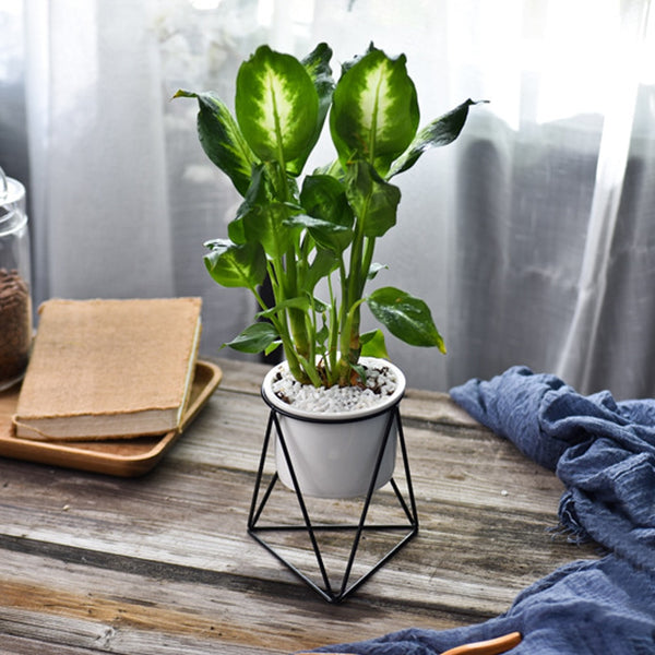 Nordic Style Geometric Iron Rack Holder Metal Stand with Ceramic Planter Desktop Garden Pot for Succulents Plants Home Decor