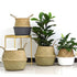 products/product-image-676362143.jpg
