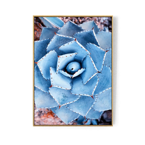 Nordic Canvas Art Prints and Posters Succulent Wall Pictures for Home Decoration, Modern Sea Paintings Wall Decor