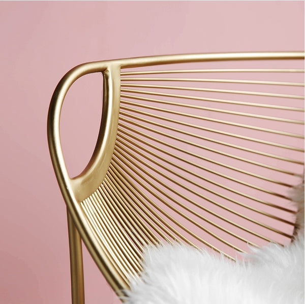 Steel Wire Chair / Golden Vanish / Woolen Blanket Included